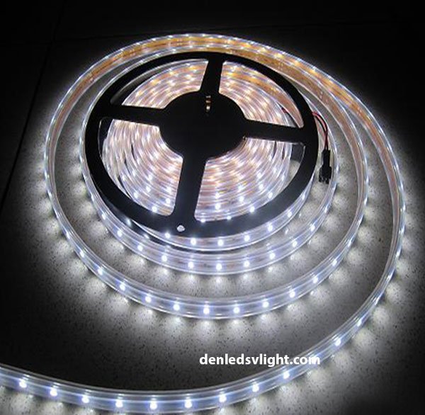 Đèn led dây 5050 và những ưu điểm vượt bậc trong thiết kế trang trí