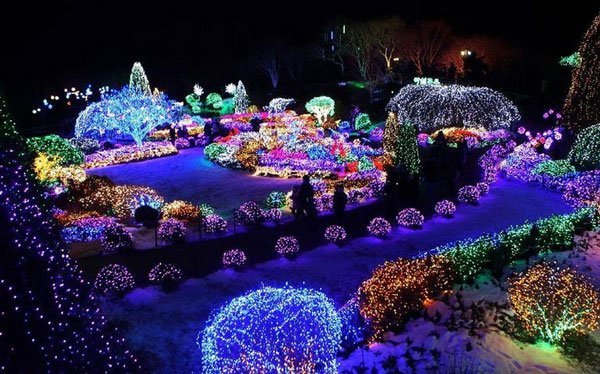 Cách tìm địa chỉ mua đèn led dây ở tphcm uy tín - Đèn led Svlight
